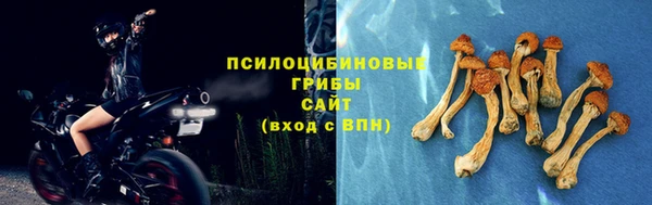 прущая мука Алзамай