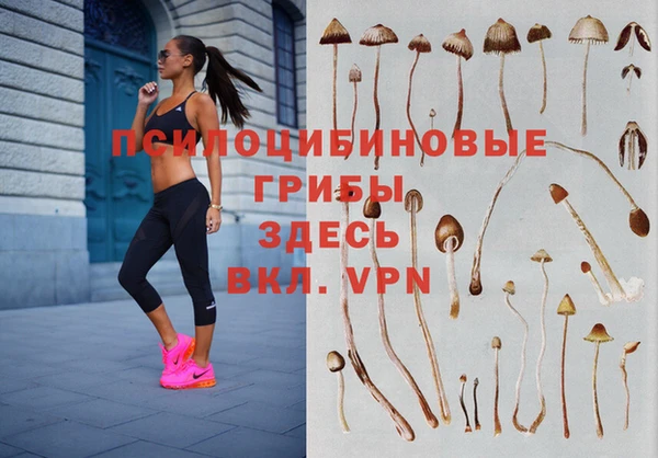 прущая мука Алзамай