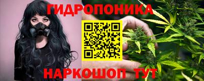 бошки Тула
