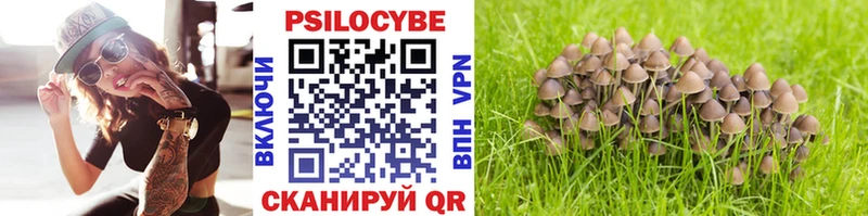ссылка на мегу вход  Рубцовск  Псилоцибиновые грибы ЛСД 